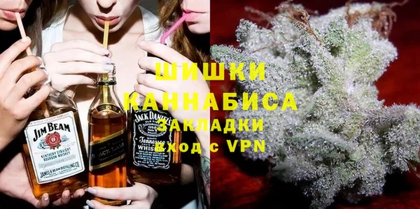 дмт Алексин