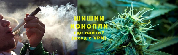 дмт Алексин