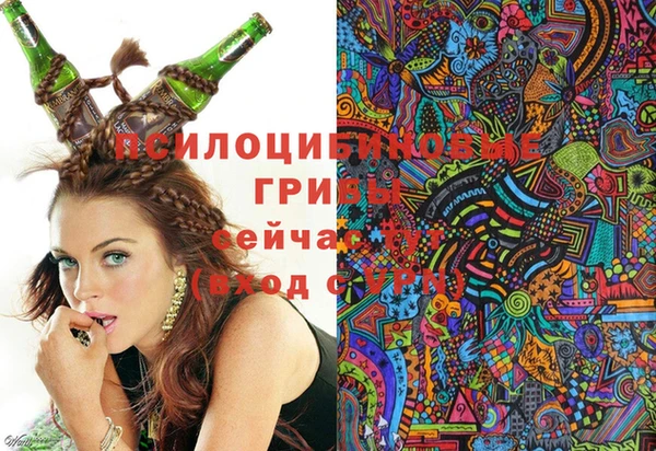 крисы Алексеевка