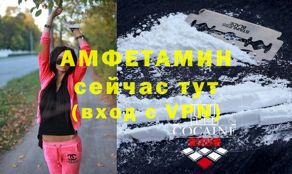 дмт Алексин
