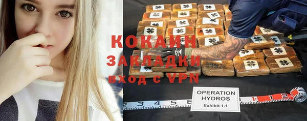 дмт Алексин
